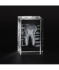 Ultrassist human tooth for sale  Delivered anywhere in USA 