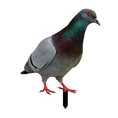 Mycense pigeon statue for sale  Delivered anywhere in USA 