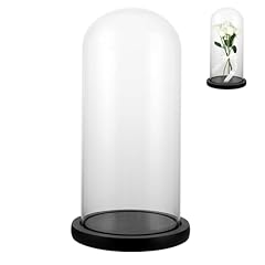 Shuess cloche verre d'occasion  Livré partout en France
