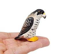 Selsela peregrine falcon for sale  Delivered anywhere in USA 