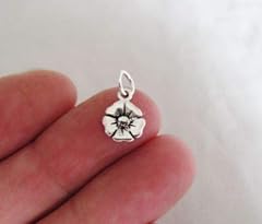 Small sterling silver for sale  Delivered anywhere in USA 