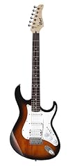 Cort g110 guitare d'occasion  Livré partout en France