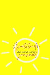Gratitude journal d'occasion  Livré partout en France