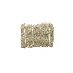 Organic ryegrass timothy for sale  Delivered anywhere in UK