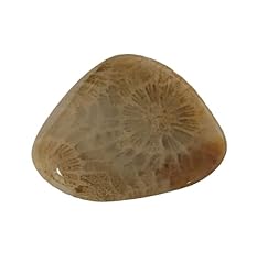 Tumbled stone petoskey for sale  Delivered anywhere in USA 