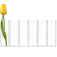 Cys excel glass for sale  Delivered anywhere in USA 