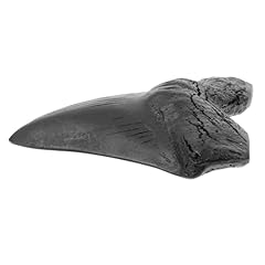 Hootnee squalo megalodonte usato  Spedito ovunque in Italia 