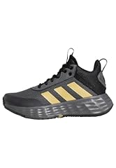 Adidas ownthegame 2.0 usato  Spedito ovunque in Italia 