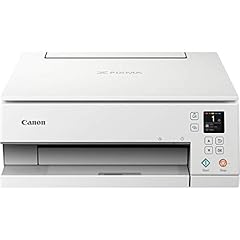 Canon pixma ts6351 usato  Spedito ovunque in Italia 