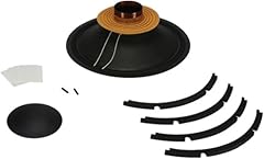 Speakers r8pe21 recone for sale  Delivered anywhere in USA 