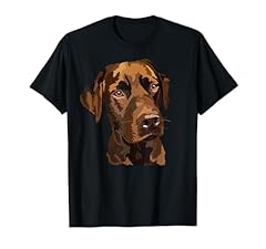 Labrador retriever chocolate usato  Spedito ovunque in Italia 