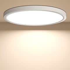 Yilaie plafoniera lampada usato  Spedito ovunque in Italia 