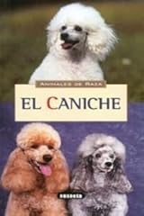 Caniche d'occasion  Livré partout en France