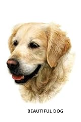 Beautiful dog for sale  Delivered anywhere in UK