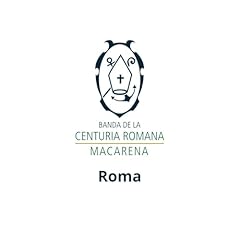Roma usato  Spedito ovunque in Italia 