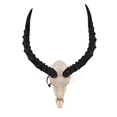Impala skull for sale  Delivered anywhere in USA 