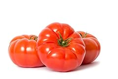 Tomato plants beefsteak for sale  Delivered anywhere in UK