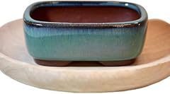 Dokuyie rectangular bonsai for sale  Delivered anywhere in UK