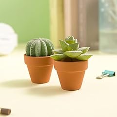 Fcacti inch terracotta for sale  Delivered anywhere in USA 