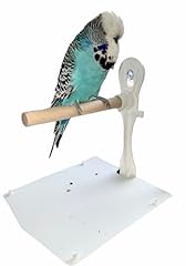 Stick window bird for sale  Delivered anywhere in UK