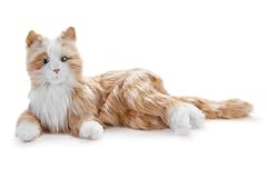 Joy companion pet for sale  Delivered anywhere in USA 