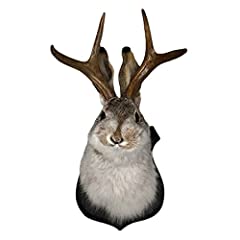 Ochine jackalope easter for sale  Delivered anywhere in USA 