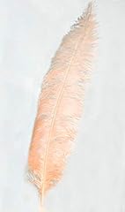 Ostrich spad feathers for sale  Delivered anywhere in USA 