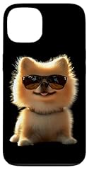 Pomerania cane pomeranian usato  Spedito ovunque in Italia 