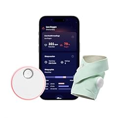 Wlet dream sock gebraucht kaufen  Wird an jeden Ort in Deutschland