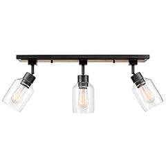 Globe electric 59798 for sale  Delivered anywhere in USA 