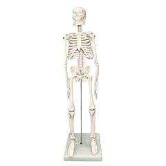 billy bones skeleton for sale  Delivered anywhere in UK