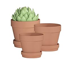 Fcacti terracotta pots for sale  Delivered anywhere in USA 