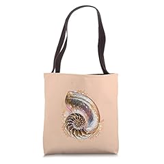 Cute nautilus fossil for sale  Delivered anywhere in USA 