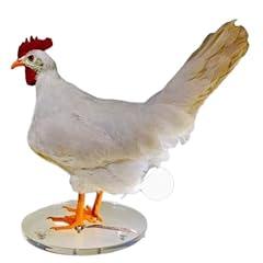 Kangsanli taxidermy chicken for sale  Delivered anywhere in USA 