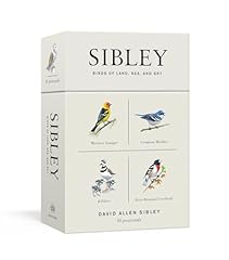 Sibley birds land d'occasion  Livré partout en France