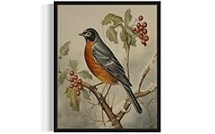 American robin art for sale  Delivered anywhere in USA 