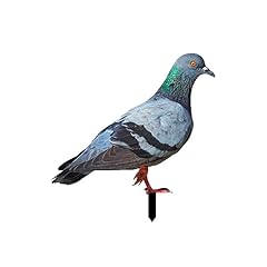 Simulation pigeon yard for sale  Delivered anywhere in UK