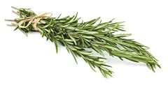 Oganic rosemary locally for sale  Delivered anywhere in USA 