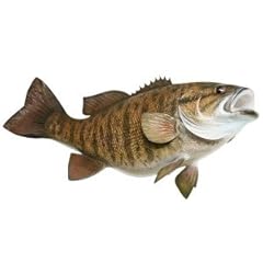 Smallmouth bass fish for sale  Delivered anywhere in USA 