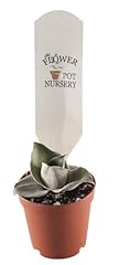 Generic flowerpotnursery silve for sale  Delivered anywhere in USA 