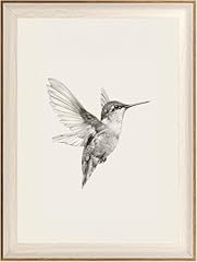 Astrdecor hummingbird wall for sale  Delivered anywhere in USA 