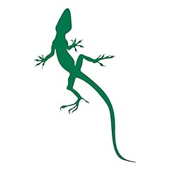 Climbing anole lizard for sale  Delivered anywhere in USA 