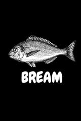 Bream cute bream for sale  Delivered anywhere in UK