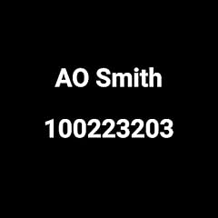 Smith 100223203 final for sale  Delivered anywhere in USA 
