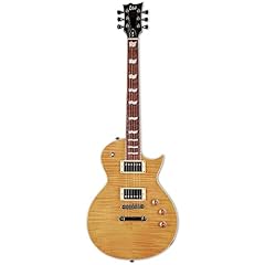 Esp ltd 256 gebraucht kaufen  Wird an jeden Ort in Deutschland