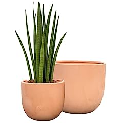 Used, Large Terracotta Plant Pots Set 22 and 17cm Ceramic for sale  Delivered anywhere in UK