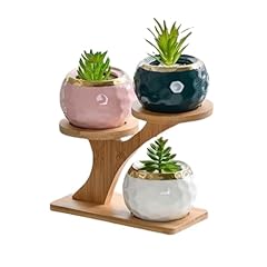Qruilantu pack tabletop for sale  Delivered anywhere in USA 