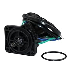 Vqjrzkpmx motore tilt usato  Spedito ovunque in Italia 