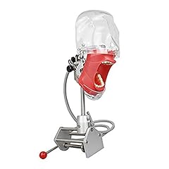 Aycdl lehrmodell dentalsimulat gebraucht kaufen  Wird an jeden Ort in Deutschland
