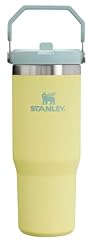 Stanley iceflow stainless for sale  Delivered anywhere in USA 
